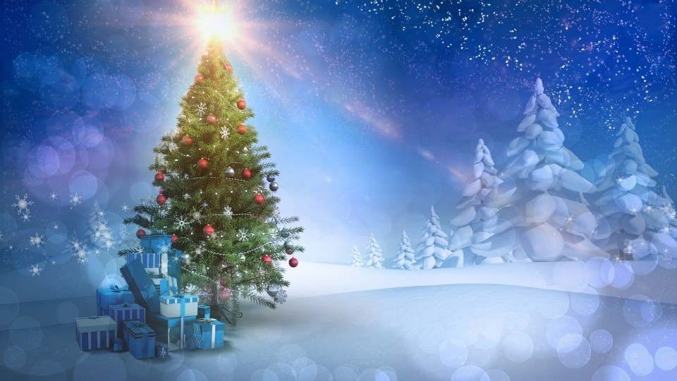 Афганский новый год 2018 Афганский новый год 2018